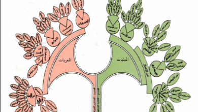 كتاب أطلس النحو العربي - عباس المناصرة