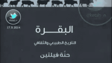 كتاب البقرة التاريخ الطبيعي والثقافي - حنة فيلتين