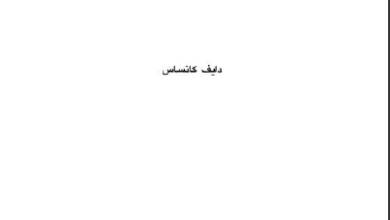 كتاب نهاية وول ستريت - دايف كانساس