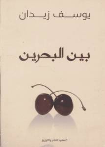 كتاب بين البحرين - يوسف زيدان