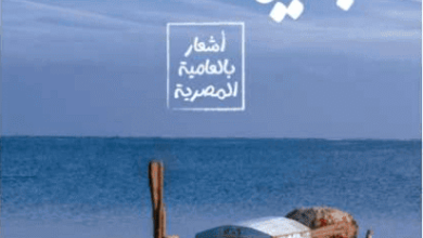 كتاب رباعيات الصياد - إسلام الصياد