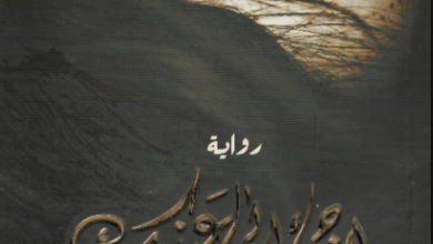 رواية لاجئ إلى عينيك - عامر سليمان