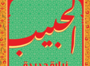 كتاب الحبيب زيارة جديدة للسيرة النبوية - أحمد الدريني