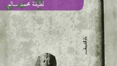 كتاب مصر في الحرب العالمية الأولى - لطيفة محمد سالم