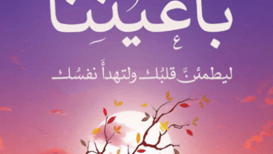 كتاب فإنك بأعيننا - مي عبد المولى