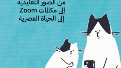 كتاب لست قطا - تيم كولينز