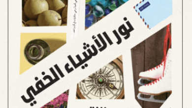 كتاب نور الأشياء الخفي - مي النقيب